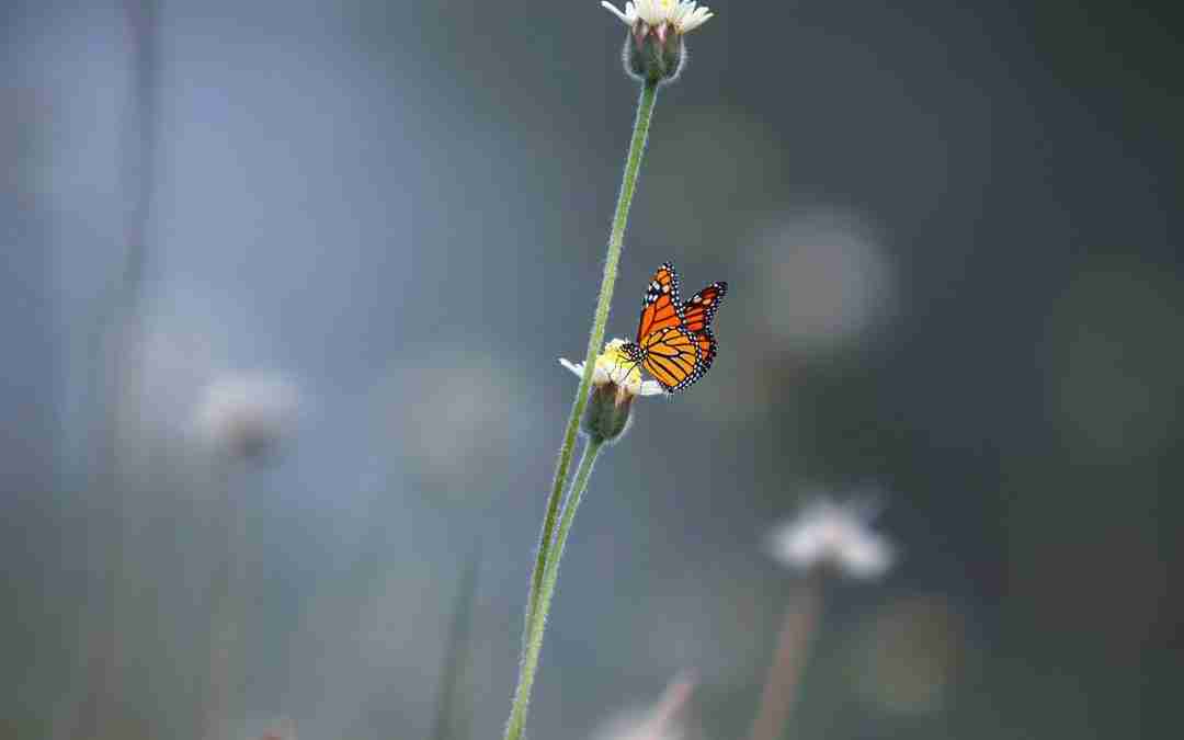 Energy Leaks: 5 Signs You’re Out of Alignment